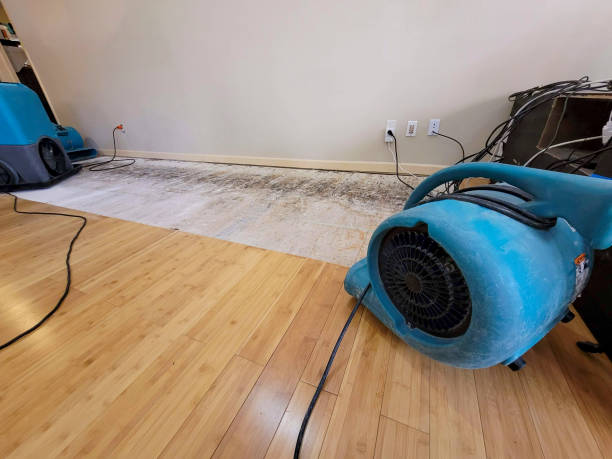 Professional Water Damage Repair technician working in Old Bridge, NJ